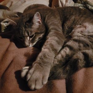 Meet your Posher, Rick